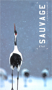 affiche de l'exposition Etat sauvage à Montréal